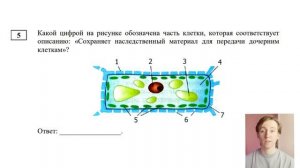 Ботаника 6 класс - НД МЦКО биология, разбор демоверсии. Мартовская диагностика.