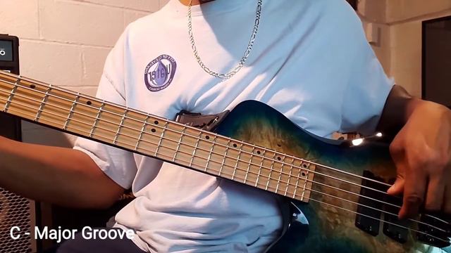 RedSub Coliseum Fanned Fret 5-String Bass, Blue Burl Burst - DEMO -C Groove смотреть онлайн