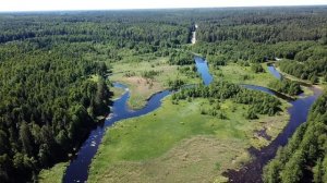 Река Тара, деревня Осинки, Вязниковский район, Россия