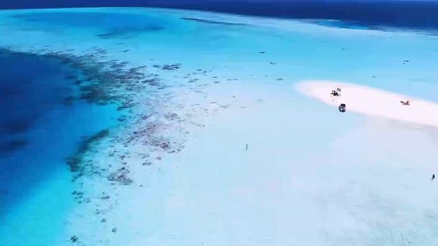 Plumeria Maldives - 2019 Profile Video смотреть онлайн