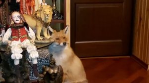 [МНЕ ВСЁ СХОДИТ С РУК] ОЧЕНЬ СИЛЬНО/ДЛЯ ВСЕХ/ВЕДЬМИНА ИЗБА♾️ИНГА ХОСРОЕВА (текст в описании)