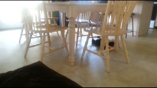 Человек-венец природы? смотреть онлайн