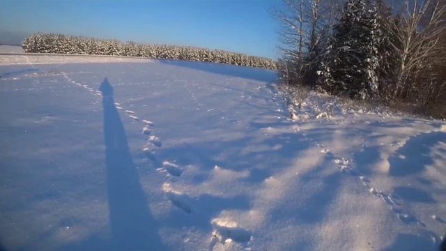 Продолжение охоты на зайца