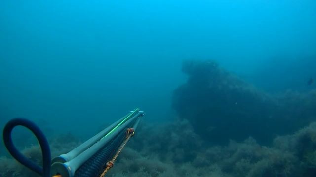 роллер MVD 82 и горбыль