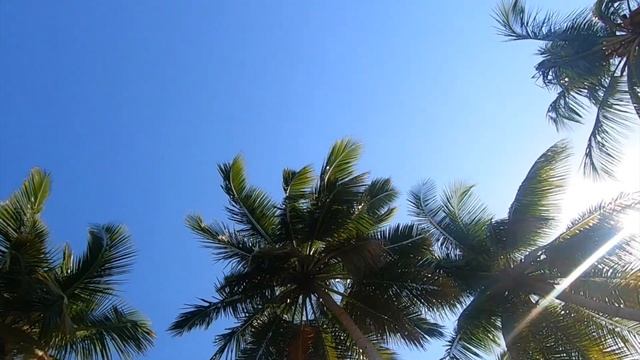 РАЙСКИЙ ПЛЯЖ На Севере Доминиканы ? I Где Стоит Побывать в Доминикане I Самостоятельные Экскурсии ? смотреть онлайн
