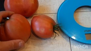 Томат Японка - обзор и дегустация сорта.