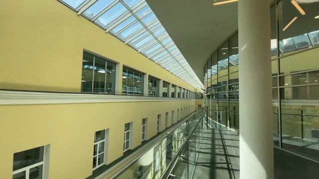 ВЛОГ:ДЕНЬ В ВЫШКЕ +mental health day | день студента вшэ смотреть онлайн