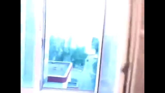 Как "правильно" готовить яйца смотреть онлайн