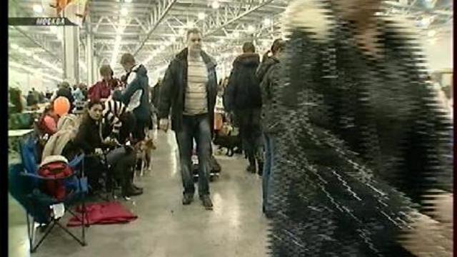 Истории в деталях, Евразия 2009 смотреть онлайн