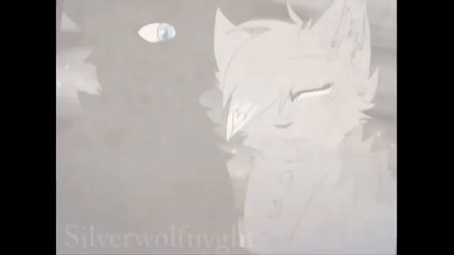 ~Клип~Коты воители~Ласточка и Грач~Биение сердца~ смотреть онлайн