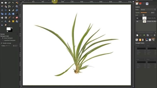 GIMP Tutorial: How to isolate objects on white background 2 смотреть онлайн