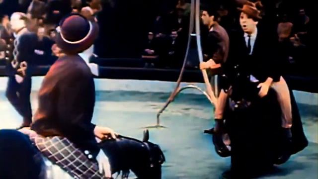 Никулин и Шуйдин реприза Лошадки 1967 (видео) смотреть онлайн