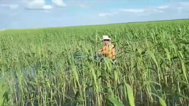 Рыбалка в Казахстане|Обзор с рыбных мест №63|Рыбалка в области| смотреть онлайн