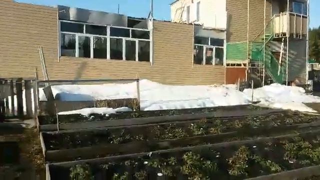 Доброе утро Страна Ютуб! Про кур и в общем. смотреть онлайн