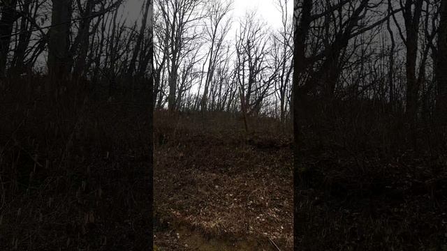 Всем Мира добра и счастливых долгих лет жизни