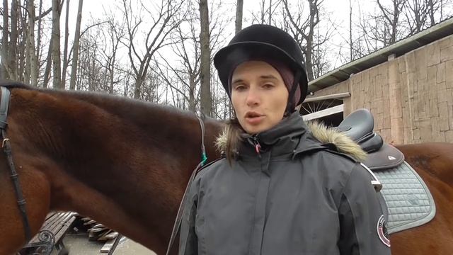 Недопустимые методы работы с лошадью смотреть онлайн