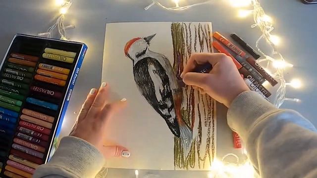 Зимующие птицы смотреть онлайн