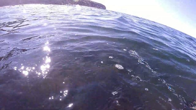 ПОД ВОХ открытие сезона АЗОВСКИЙ бычок смотреть онлайн