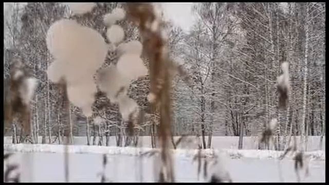 ELIER FOREVER смотреть онлайн