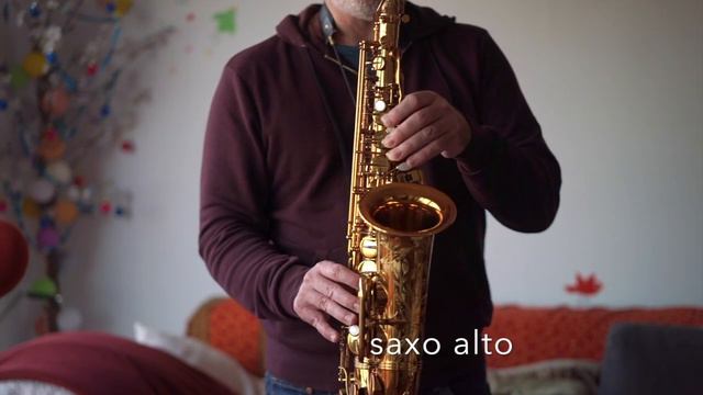 Comparación entre saxo tenor, saxo alto y saxo soprano - tenor sax vs alto sax vs soprano sax смотреть онлайн