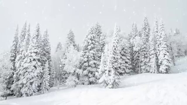 4K HDR 10 Hours - Snowing On Trees - Relaxing, Gentle, Calming
