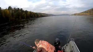 Рыбалка на хариуса, Енисей, Шивера. Удачное закрытие сезона.