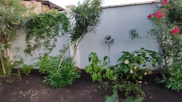 Скоро ФИНАЛ!