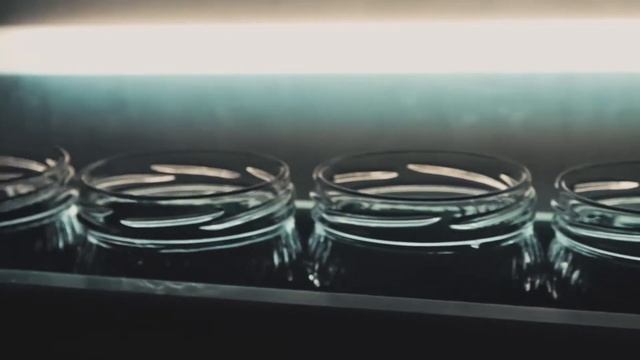 О компании, заводе и производстве кабачковой икры