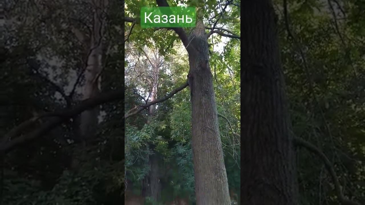Наш герой. Казанские достопримечательности. смотреть онлайн