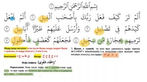 Чтение Корана по правилам таджвида: Сура Аль-Фийль