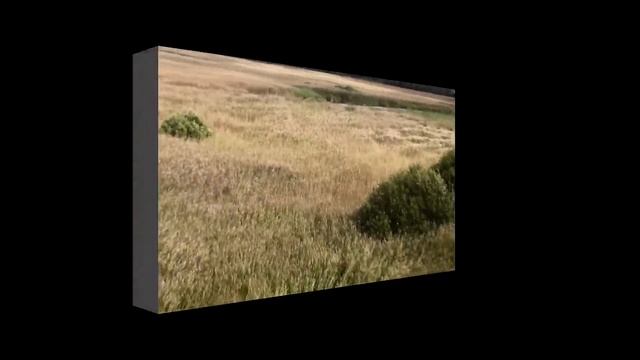 Шумел камыш смотреть онлайн
