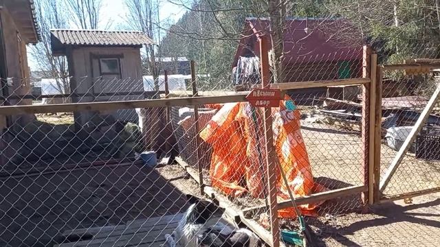 Объединили кур. Грей подпевает петухам. Козам скоро рожать. смотреть онлайн