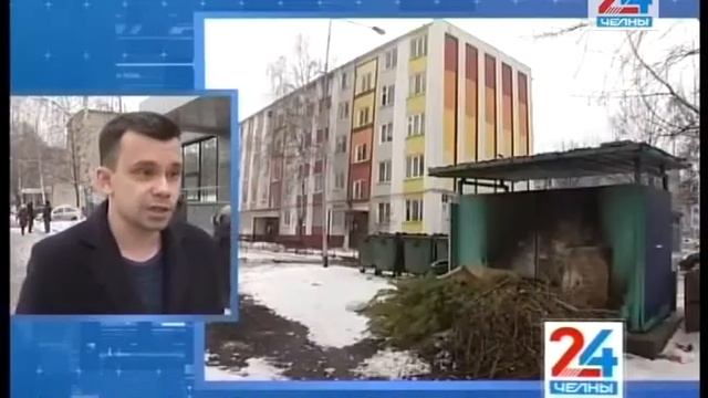 Новогодние хвойные символы – не только для красоты, но и пользы смотреть онлайн