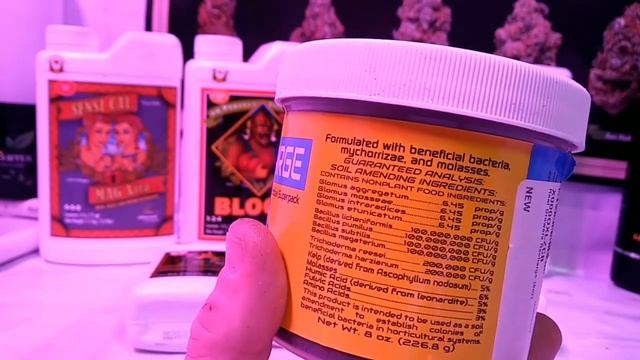 Advanced Nutrients Throw away your PH Pen with PH Perfect смотреть онлайн