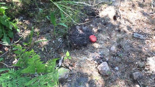 Аренда дома озеро Зеркальное СПб - Коттедж Кемп смотреть онлайн