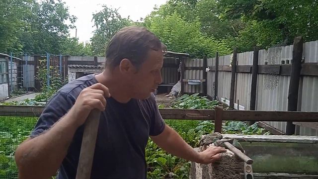 Сарайчик для гусят: понадобился - строим! смотреть онлайн