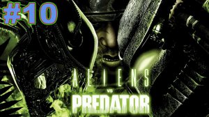 ▶Aliens vs. Predator. Игра за Хищника. Лаборатория. #10