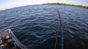 рыбалка на сома в Саратове. мой биг фиш на 27 килограмм