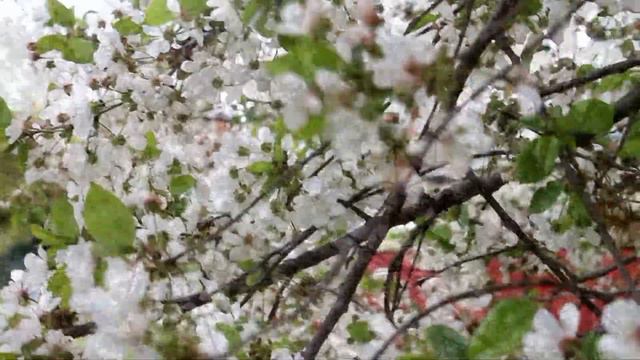 Брюховецкая весна смотреть онлайн