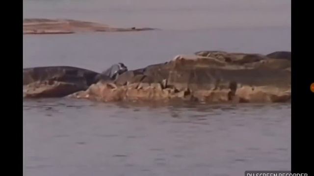Monster in Ladoga lake(Чудовище на озере) смотреть онлайн