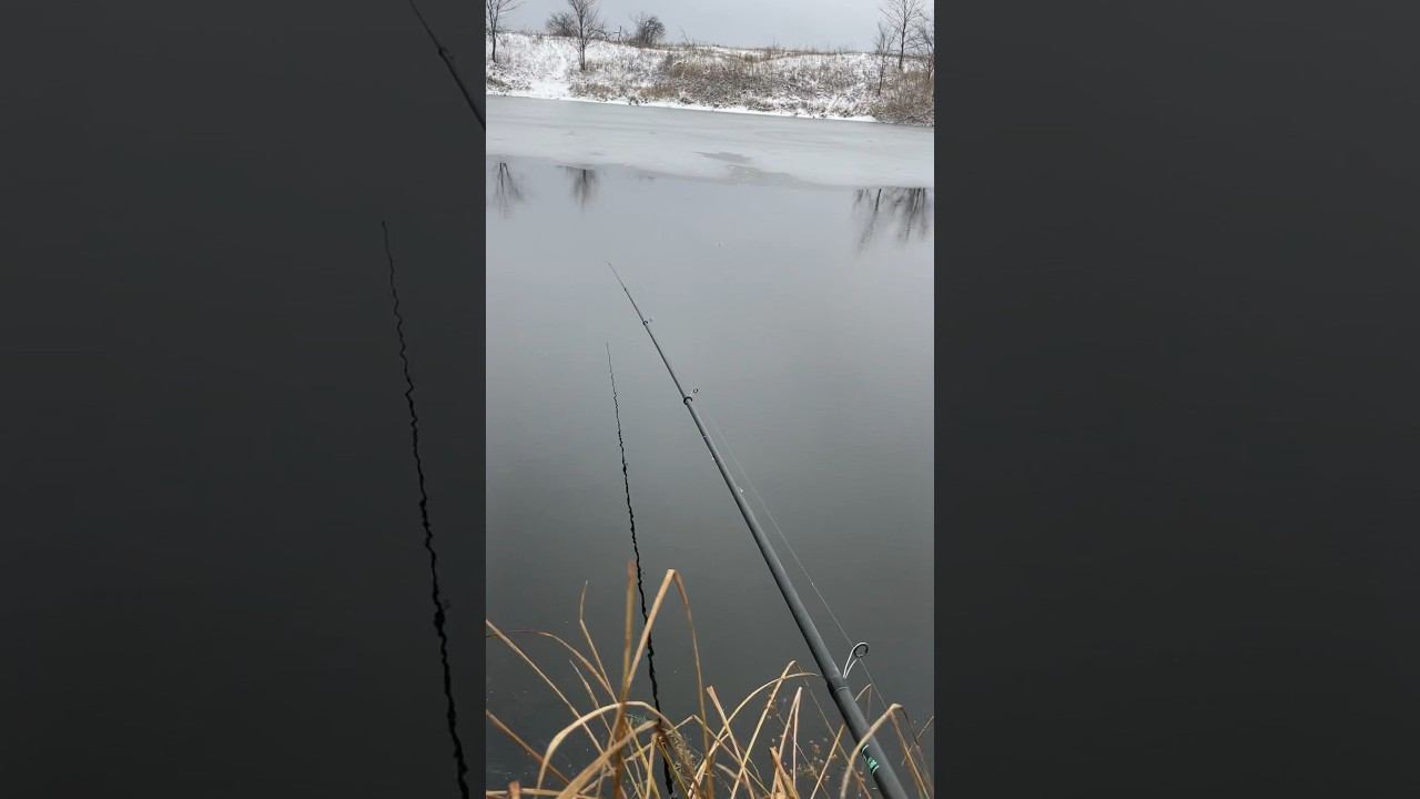 Первый лёд, ловлю ротана #ротан #ловляротана смотреть онлайн