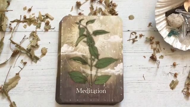 Magickal Herb Oracle + Review смотреть онлайн