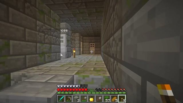 Super Happy Fun Time ~ Stronghold Maze ~ [69] - Sqaishey смотреть онлайн