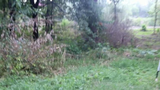 Скількі грошей витрачено на прибирання парку і який він залишився смотреть онлайн