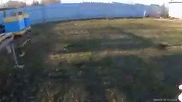 Собираем Рамки Дадан под курочку.