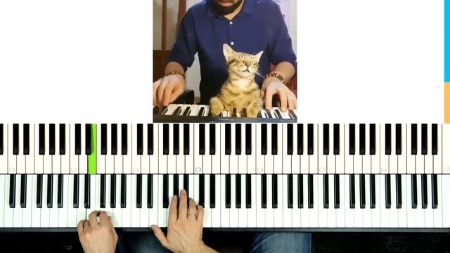 ? Фортепиано ДЛЯ ВСЕХ. Урок 12 - ТРИ АККОРДА, ЦЫГАНОЧКА, ЧАСТУШКА, ДЖЕНТЕЛЬМЕНЫ УДАЧИ смотреть онлайн