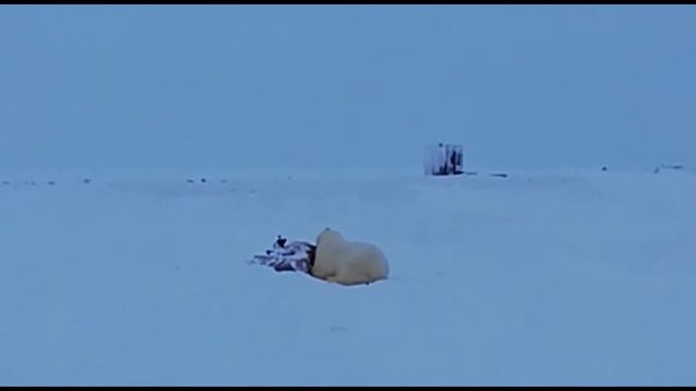 17 января 2019 смотреть онлайн