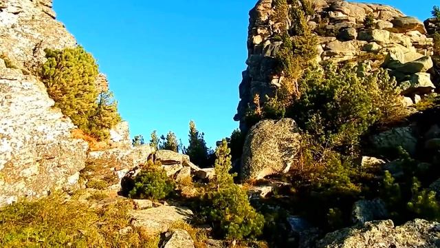 Шерегеш. Курган. Верблюды. смотреть онлайн