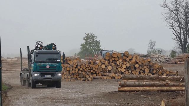 TATRA- LESOVOZY TATRA PHOENIX 2020 смотреть онлайн