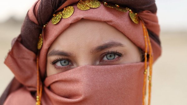 Египет на машине, январь 2022.
"Life master"